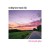 Buy Rocking Horse Music Club - The Last Pink Glow Mp3 Download