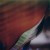 Buy Zakè - The Worlds We Leave Behind (With Tyresta) Mp3 Download