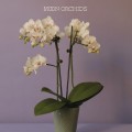 Buy Moon Orchids - Moon Orchids Mp3 Download
