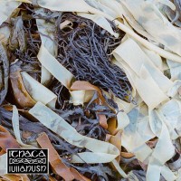 Purchase Lullahush - Ithaca