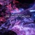 Buy Steve Roach - One Day Of Forever Mp3 Download