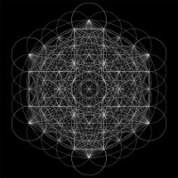 Purchase 2Hollis - Star
