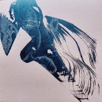 Purchase Caroline Kraabel & John Edwards - Sparrow Dance