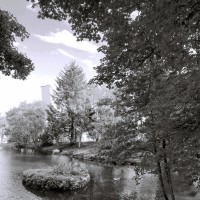 Purchase Mind Over Midi - Byskogen