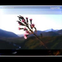 Purchase Motionfield - Laponia