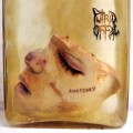 Buy Putrid Offal - Anatomy (EP) Mp3 Download