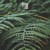 Buy Heavenchord & Infinity Dots - Blagodanost (EP) Mp3 Download