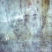 Purchase Jim White - Drill A Hole In That Substrate And Tell Me What You See (Deluxe 20Th Anniversary Edition)