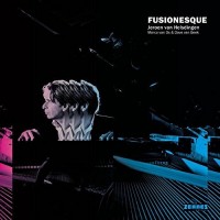 Purchase Jeroen Van Helsdingen - Fusionesque