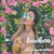 Buy Anuhea - Follow Me (Deluxe Hawaii Edition) Mp3 Download