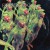 Buy Espectrostatic - Espectrostatic Mp3 Download