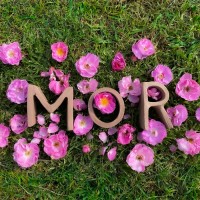 Purchase Aterciopelados - MOR (EP)