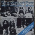 Buy Blackfoot Sue - The Best Of Blackfoot Sue Mp3 Download