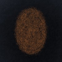 Purchase Eli Keszler - Last Signs Of Speed