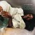 Buy Gina Thompson - If You Only Knew Mp3 Download