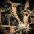 Buy Mile - A Shattered Mind Mp3 Download