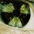 Buy Starset - Toksik (CDS) Mp3 Download