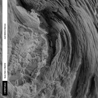Purchase Suso Saiz - Just Before Silence (Feat. Menhir)