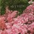 Buy Syml - Here Comes The Sun (CDS) Mp3 Download