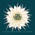 Buy The Loyal Seas - Strange Mornings In The Garden Mp3 Download
