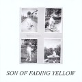 Buy VA - Son Of Fading Yellow Mp3 Download