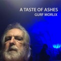 Buy Gurf Morlix - The Taste Of Ashes Mp3 Download