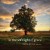 Buy David Nevue - In The Soft Light Of Grace Mp3 Download