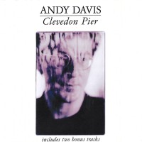 Purchase Andy Davis - Clevedon Pier