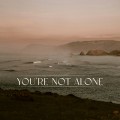 Buy Ry X - You're Not Alone (Feat. Punctual) (CDS) Mp3 Download