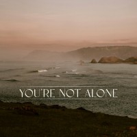 Purchase Ry X - You're Not Alone (Feat. Punctual) (CDS)