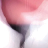 Purchase Silent Vigils - Wake (EP)