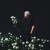Buy Milleniumkid - Dystopie Mp3 Download