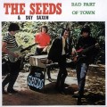 Buy The Seeds - Bad Part Of Town Mp3 Download