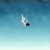 Buy Tracy Bonham - Sky Too Wide Mp3 Download