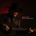 Buy Zach Top - Ain't In It For My Health Mp3 Download
