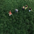 Buy Parcels - Loved Mp3 Download