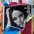 Buy Amy Macdonald - Can You Hear Me? (CDS) Mp3 Download