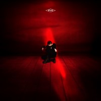 Purchase Pig - Red Room