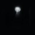 Buy Tineidae - Hear, O Ruin, Our Echoes Against Your Silence, We Are The Orphans Of Your Unmaking Mp3 Download