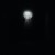 Buy Tineidae - Hear, O Ruin, Our Echoes Against Your Silence, We Are The Orphans Of Your Unmaking Mp3 Download