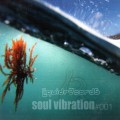 Buy VA - Soul Vibration 001 Mp3 Download