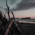 Buy Warmth - Driftwood (With Human Is Alive) Mp3 Download