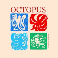 Purchase Newton Faulkner - Octopus