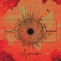 Purchase Anti-Clone - Human (EP)