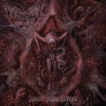 Buy Vulvectomy - Aberrant Vaginal Gestation Mp3 Download