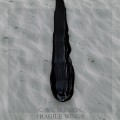 Buy Cave Sermon - Fragile Wings Mp3 Download