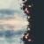 Buy Photosphere & Unusual Cosmic Process - Atmospheric Mp3 Download