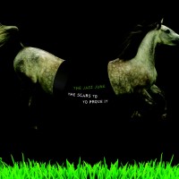 Purchase The Jazz June - The Scars To Prove It
