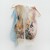 Buy Blue Lake - Weft (EP) Mp3 Download