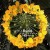 Buy Harold Budd - Avalon Sutra Mp3 Download